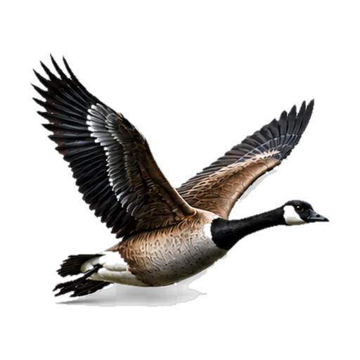 Goose